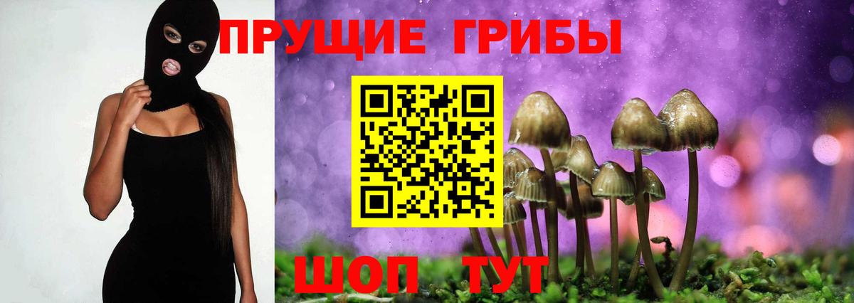 Галлюциногенные грибы Psilocybine cubensis Южноуральск